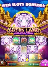 Casino Ao Vivo 63v